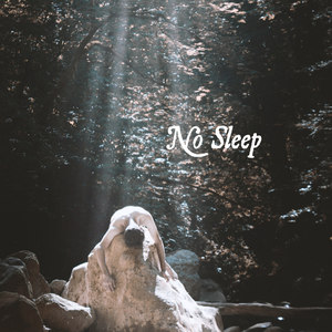 No Sleep (Explicit)