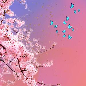 Vapor