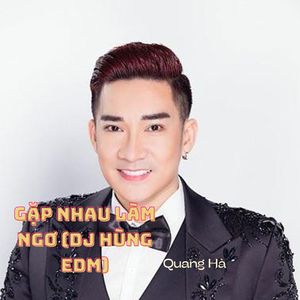 Quang Ha - Gặp Nhau Làm Ngơ (Remix)