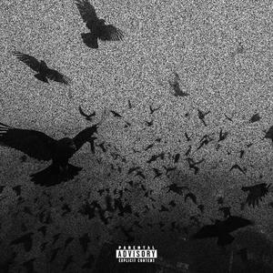 NON HO MAI (Explicit)