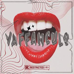 VAFFANCULO(feat. JayWithDaSauce & Tmt_beats) (Explicit)