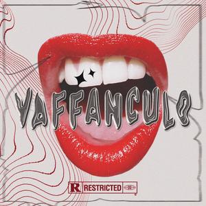 VAFFANCULO (feat. JayWithDaSauce & Tmt_beats) [Explicit]