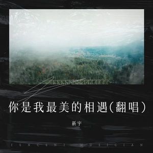 爱已破碎像凋零的玫瑰 (Live)