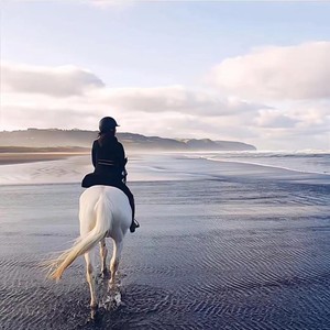 今天也想见到你