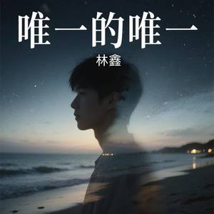 唯一的唯一