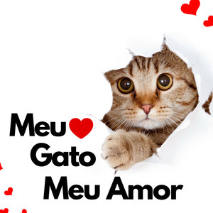 Meu Gato, Meu Amor