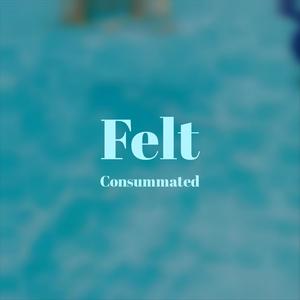 Felt Consummated