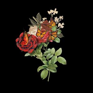 Freestyle (City Flow) (Explicit)