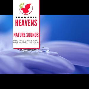 Nature Sounds - Birds, Toads, Crickets amidst Winds and Forest Fire, Vol. 10