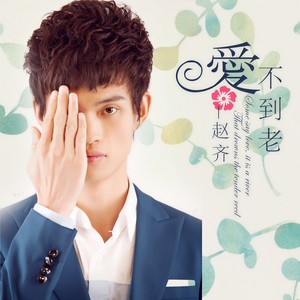 爱不到老 (DJ版)