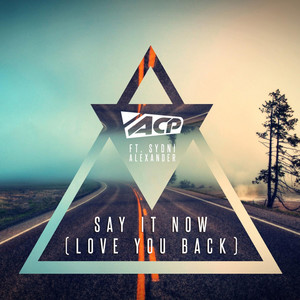 Say It Now (Love You Back) (Extended Version)
