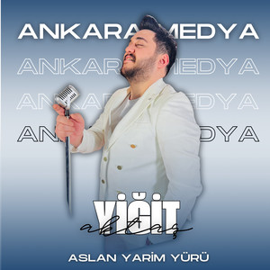 Aslansın Yarim