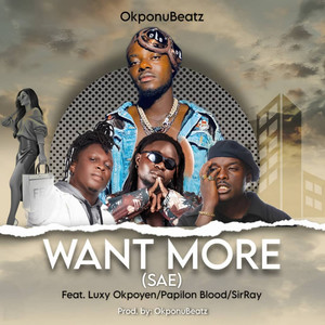 Want More (Sae)