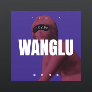 万水千山总是情 (DJ版)