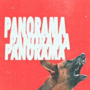 Panorama (feat. THRA$H) (Explicit)