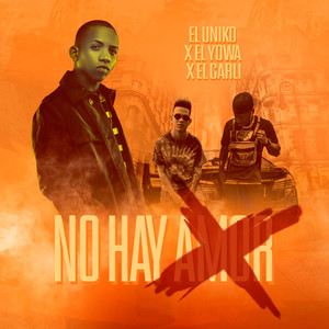No Hay Amor