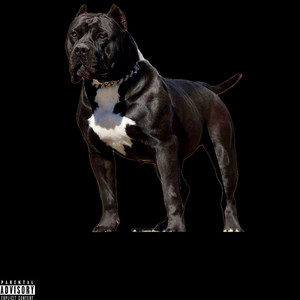 Big Dawg (Explicit)