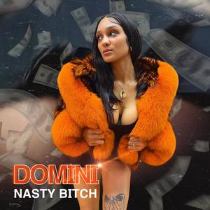 Nasty ***** (Radio Edit)