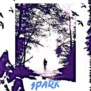 Spark