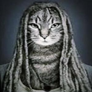 1000 (feat. R.T.R Aso) (Explicit)