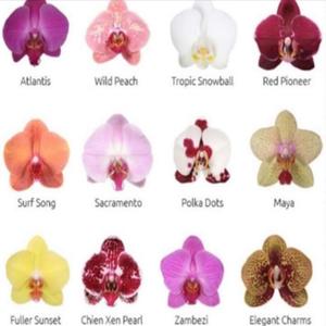 everysecondeveryday (feat. handweep) (Explicit)