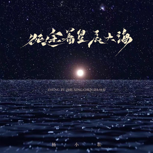 杨小壮 - 征途着星辰大海