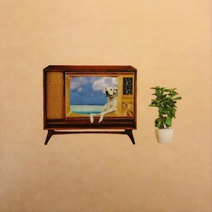 Forward and Backward