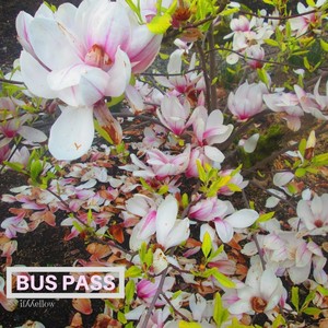 Bus Pass (Explicit)