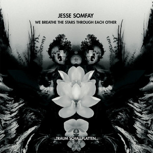 This Fragile Addiction