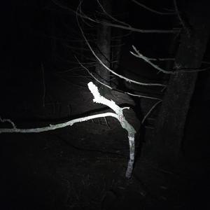 hypedup (freestyle) (feat. R.U.L.A) (Explicit)