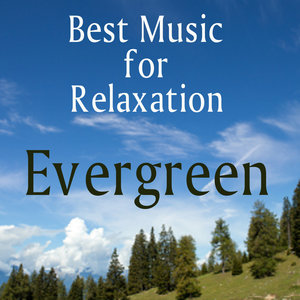 Best Music for Relaxation: Evergreen