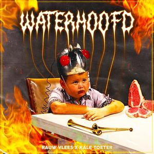 Waterhoofd