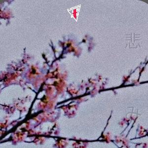 Todas Son Iguales (Explicit)