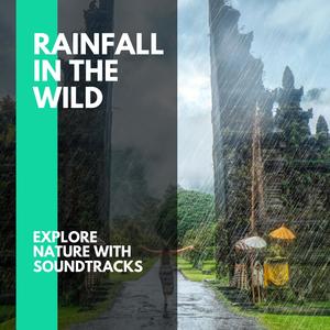 Rainfall in the Wild - Explore Nature with Soundtracks