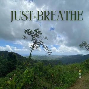 Just Breathe (feat. Damien Oliver) [Explicit]