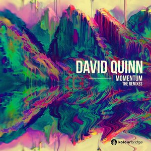 Momentum (Voia Remix)