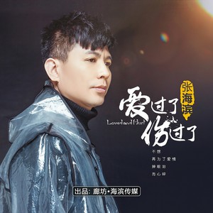 爱过了也伤过了 (铃声版)封面