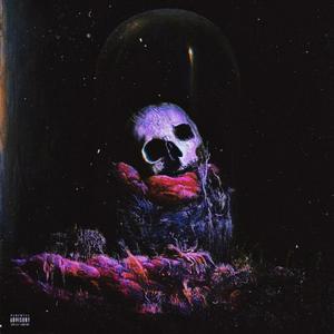 Feed your ego (feat. Taej)