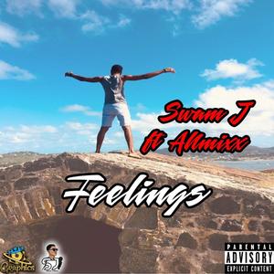 Feelings (feat. Allmixx )