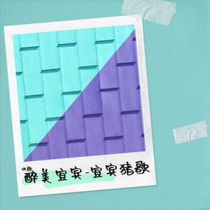 醉美宜宾-宜宾 猪歌