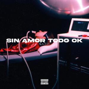 SIN AMOR TODO OK (Explicit)