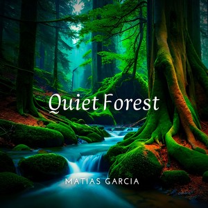 Quiet Forest