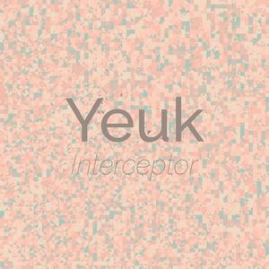 Yeuk Interceptor