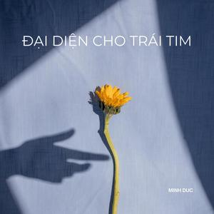 Đại Diện Cho Trái Tim