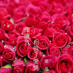 你让我相信了爱情 (伴奏)