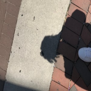 IM HIGH ASF CAN'T SLEEP (Explicit)