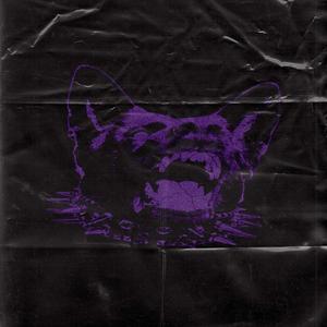 The Late (Extended Mix)