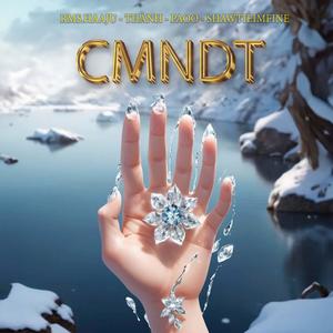 Chẳng Muốn Nhưng Đành Thôi (feat. THÀNH & Paoo)