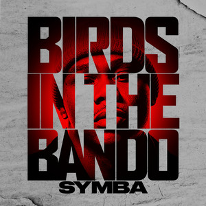 Birds In The Bando (Explicit)
