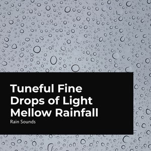 tuneful fine drops of light mellow rainfall